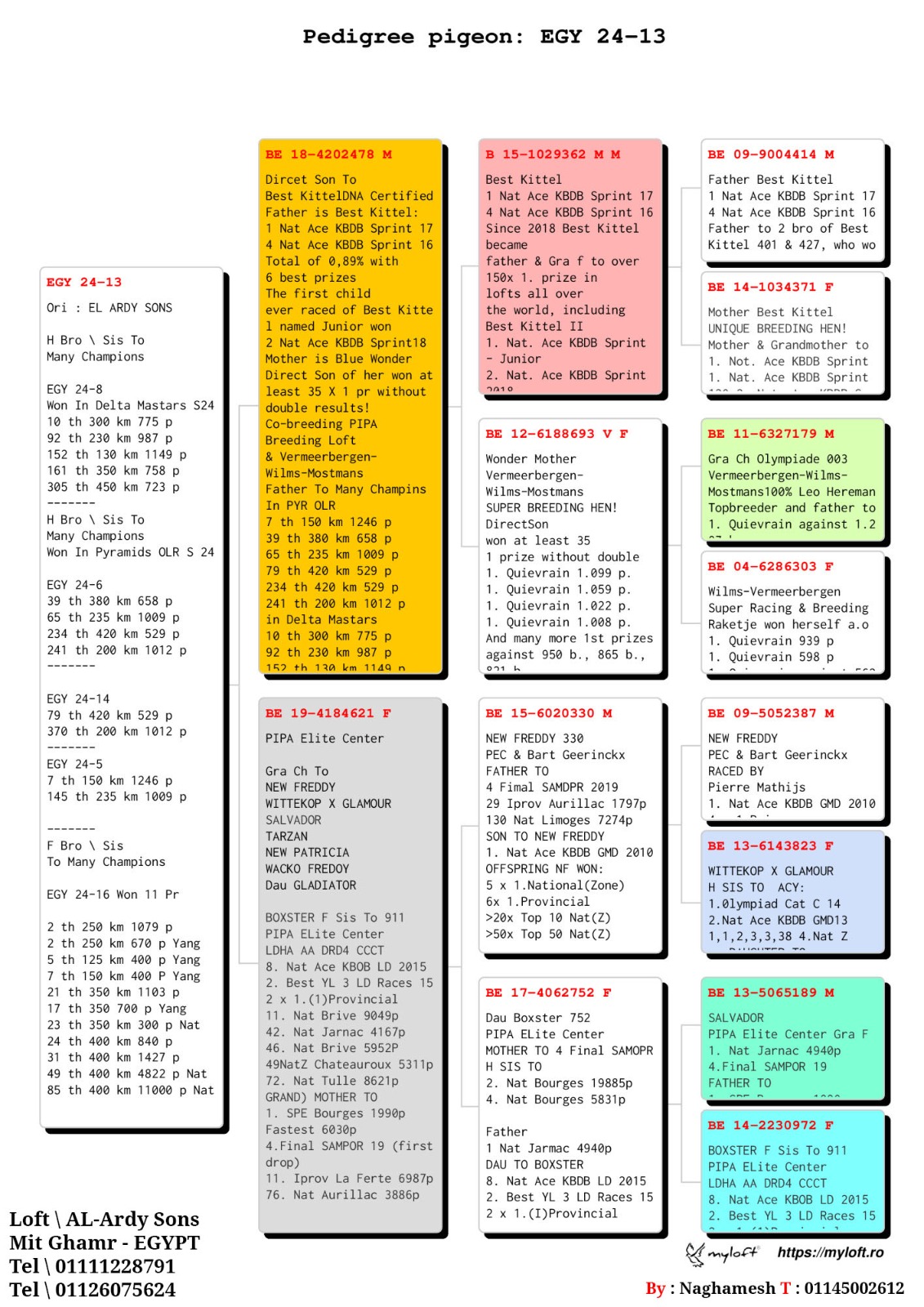 طير الحج عبدو الارضي - Image 4