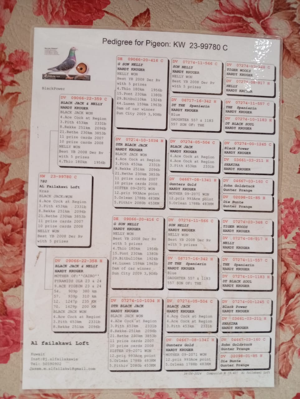 طير الفيلكاوي لوفت /3 - Image 3