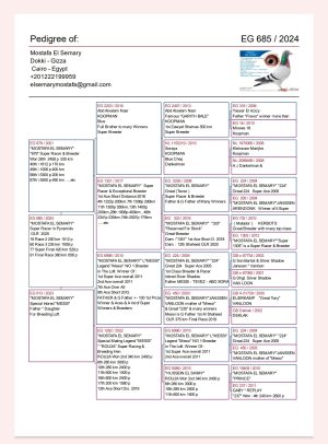 Alternative view of طير الاسطورة استاذ مصطفي السمري