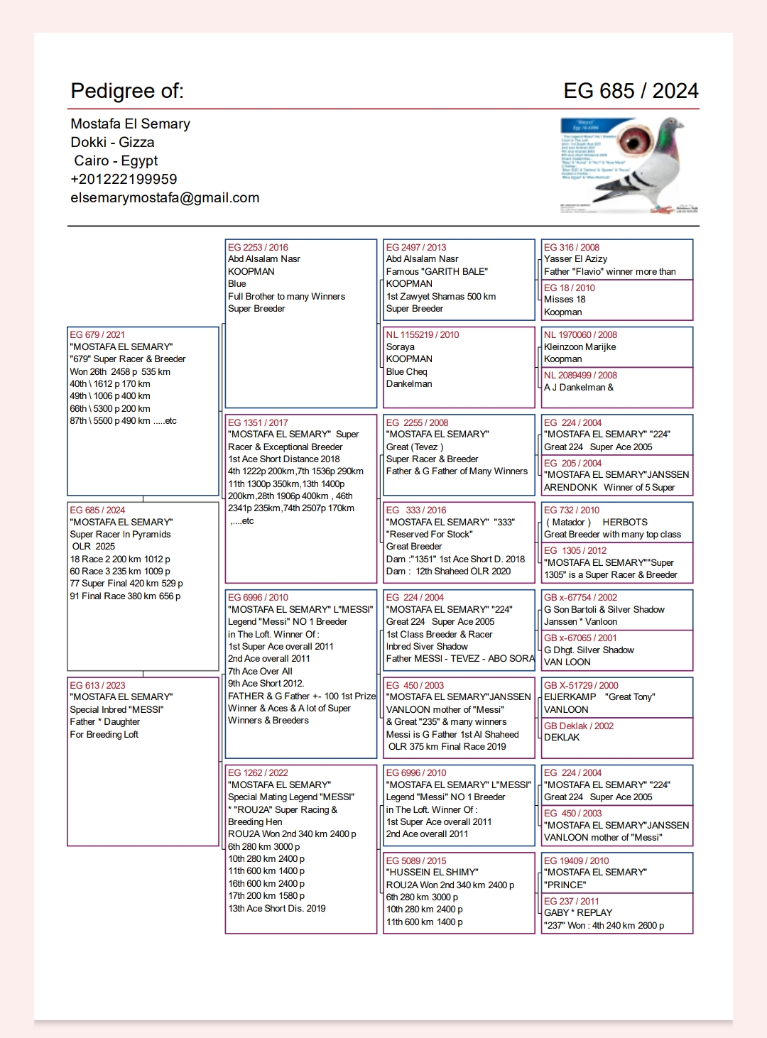 طير الاسطورة استاذ مصطفي السمري - Image 2