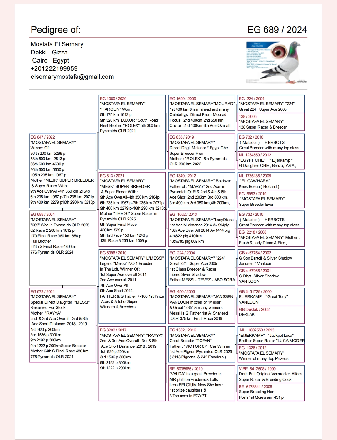 طير الاسطورة استاذ مصطفي السمري/2 - Image 2