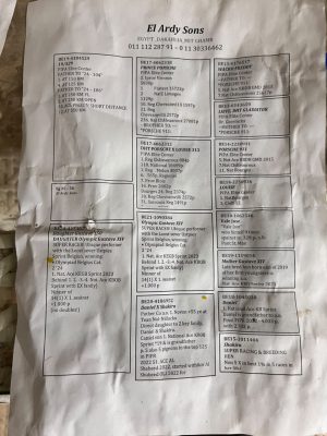 Alternative view of 58 للحج عبدو الارضي