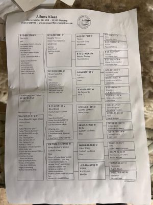 Alternative view of 552-507*25 لالفونس كلاس