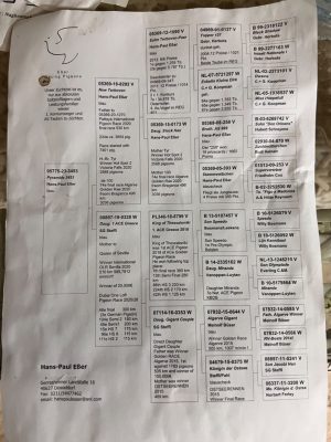 Alternative view of طير هانز بول ايثر