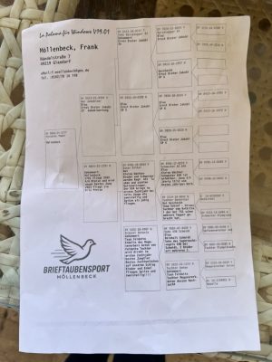 Alternative view of 8604-25-5277 للبطل فرانك