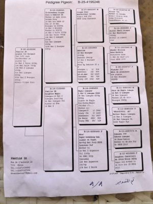 Alternative view of 4195246 لفاميلي ثري دي