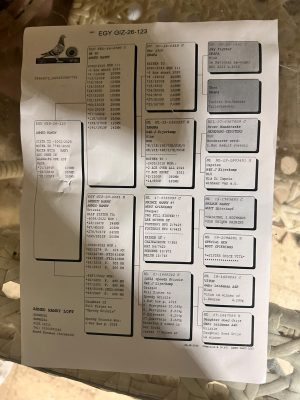 Alternative view of 123 للبطل احمد حمدي